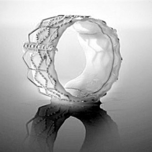 ��(j��ng)��(d��o)��ֲ��ʽ�˹�����(d��ng)�}��Ĥ�R��ԇ�(y��n)ָ��(d��o)ԭ�t