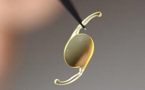 �˹������w�R��ԇ�(y��n)ָ��(d��o)ԭ�t