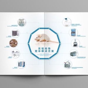 �t(y��)����е��(d��ng)�(sh��)�(y��n)�о����g(sh��)����ָ��(d��o)ԭ�t ��һ���֣��Q��ԭ�t