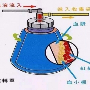 �x��ʽѪҺ�ɷַ��x�O(sh��)���R���u�r(ji��)ע�Լ��g(sh��)����ָ��(d��o)ԭ�t