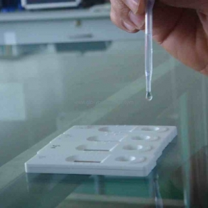 ���ڼ����ɹ�ԭλ�s���������Ⱦɫ�w�����z�yԇ��ע�Լ��g(sh��)����ָ��(d��o)ԭ�t