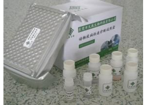 ����������A����������ͪ�z�y(c��)ԇ��ע��(c��)���g(sh��)����ָ��(d��o)ԭ�t