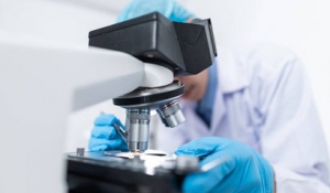 ̽����Ʒ�|ȫ���t(y��)����ģʽ