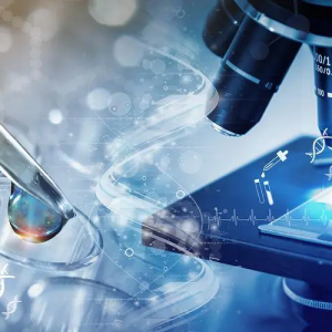 އHt(y)(sh)(yn)҃xO(sh)估t(y)еչ[