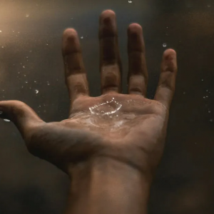 t(y)(w)ИI(y)ӭvʷ԰l(f)չC(j)